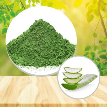 Indonesia Suppliers of Aloe Vera Face Pack