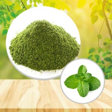 Uzbekistan Suppliers of Herbal Mint Powder