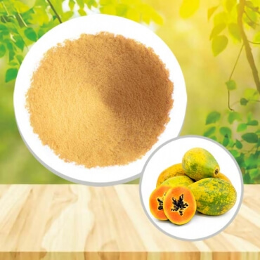 Lebanon Importers of Organic Papaya Powder